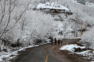 Изображение Ирана 4